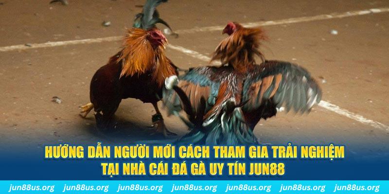 98win8 loi game dot kich ket noi may chu that bai