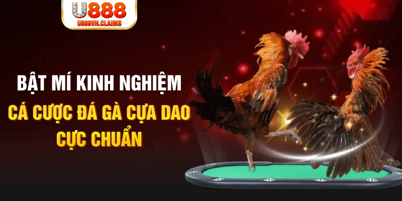 98win8 xổ số miền nam xổ số miền nam