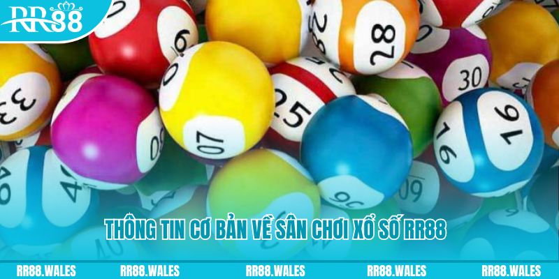 98win8 đá gà hôm nay