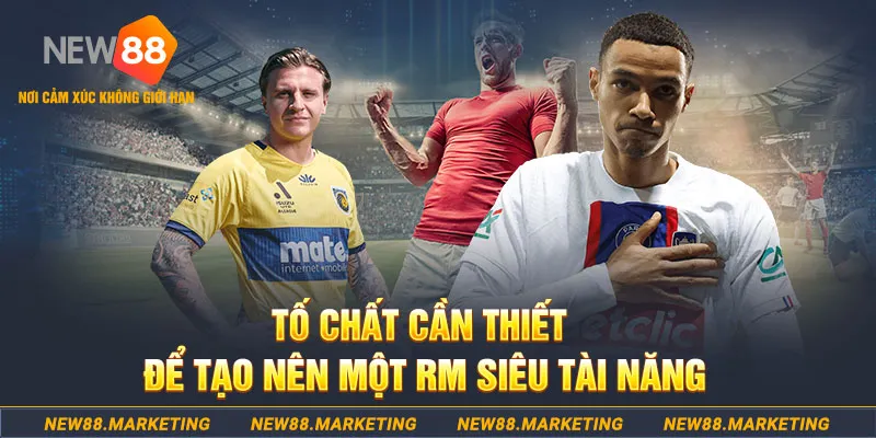 98win8 đá gà thomo