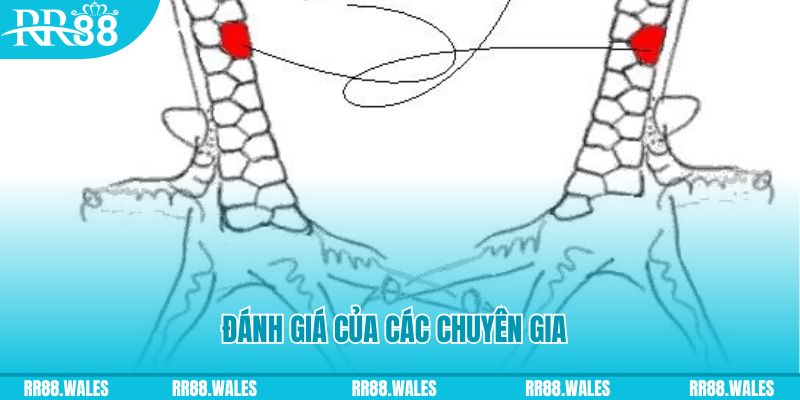 98win8 V8 Game Bài 3d