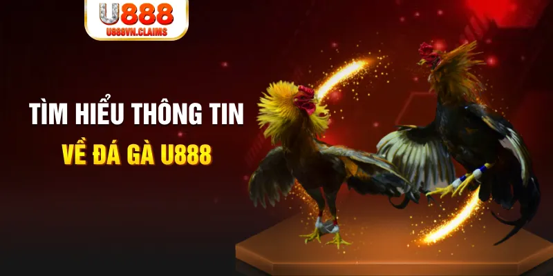 98win8 đăng nhập tiến lên miền nam hàng đầu
