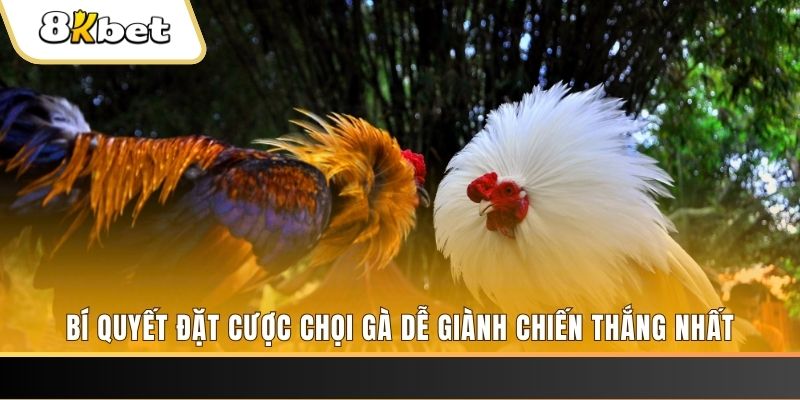 98win8 xổ số thứ hai hàng tuần