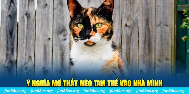 98win8 RTG Bắn cá