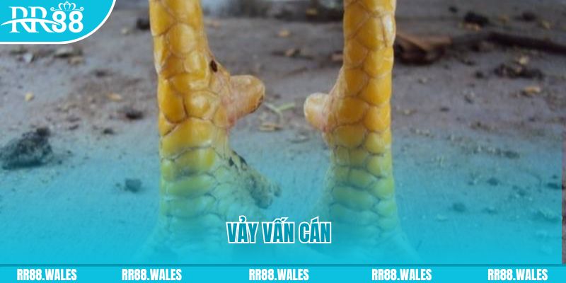 98win8 đăng nhập nổ hũ hôm nay