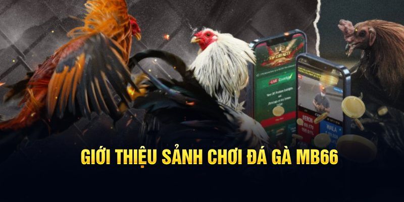 98win8 đăng nhập poker hôm nay